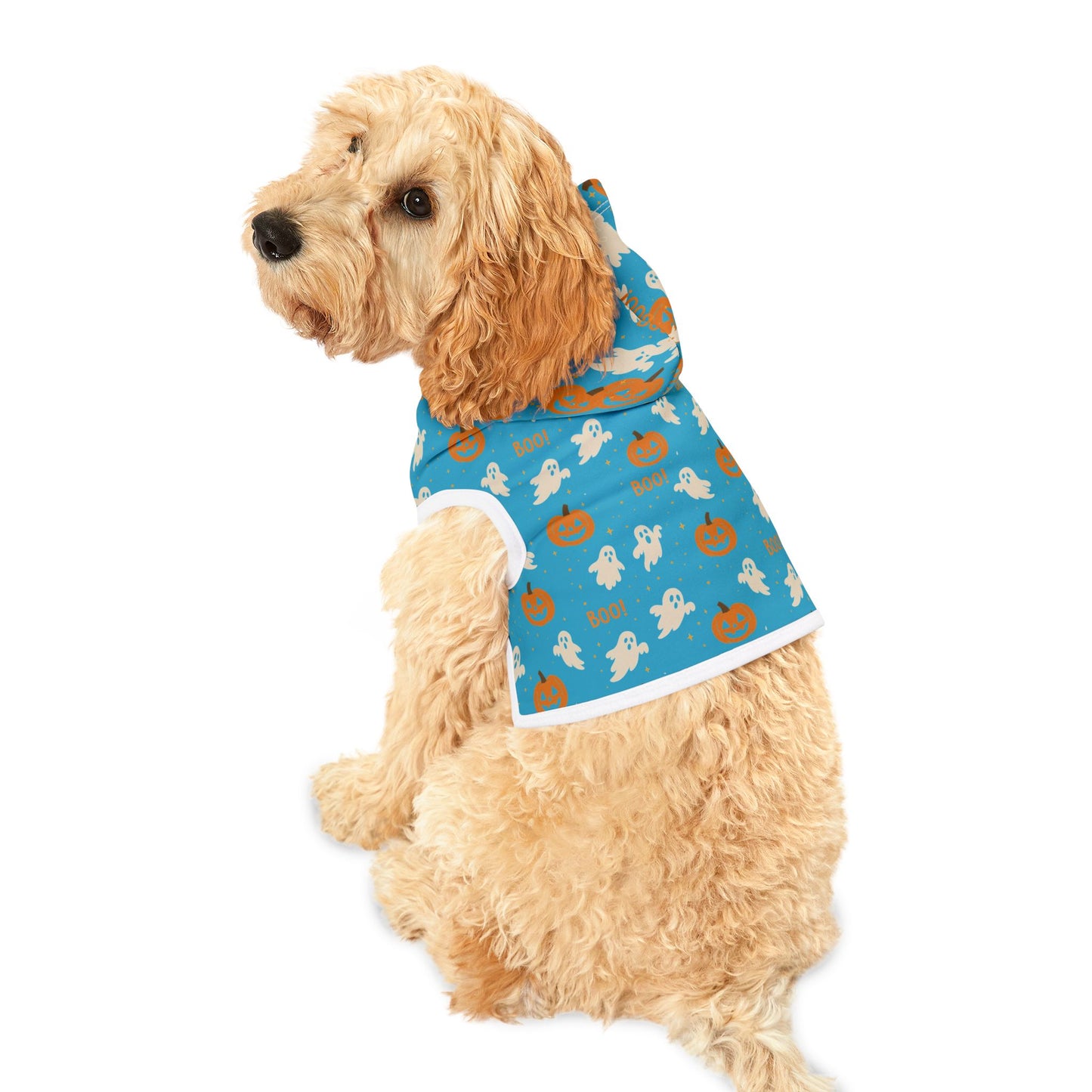 Halloween Pet Hoodie 3