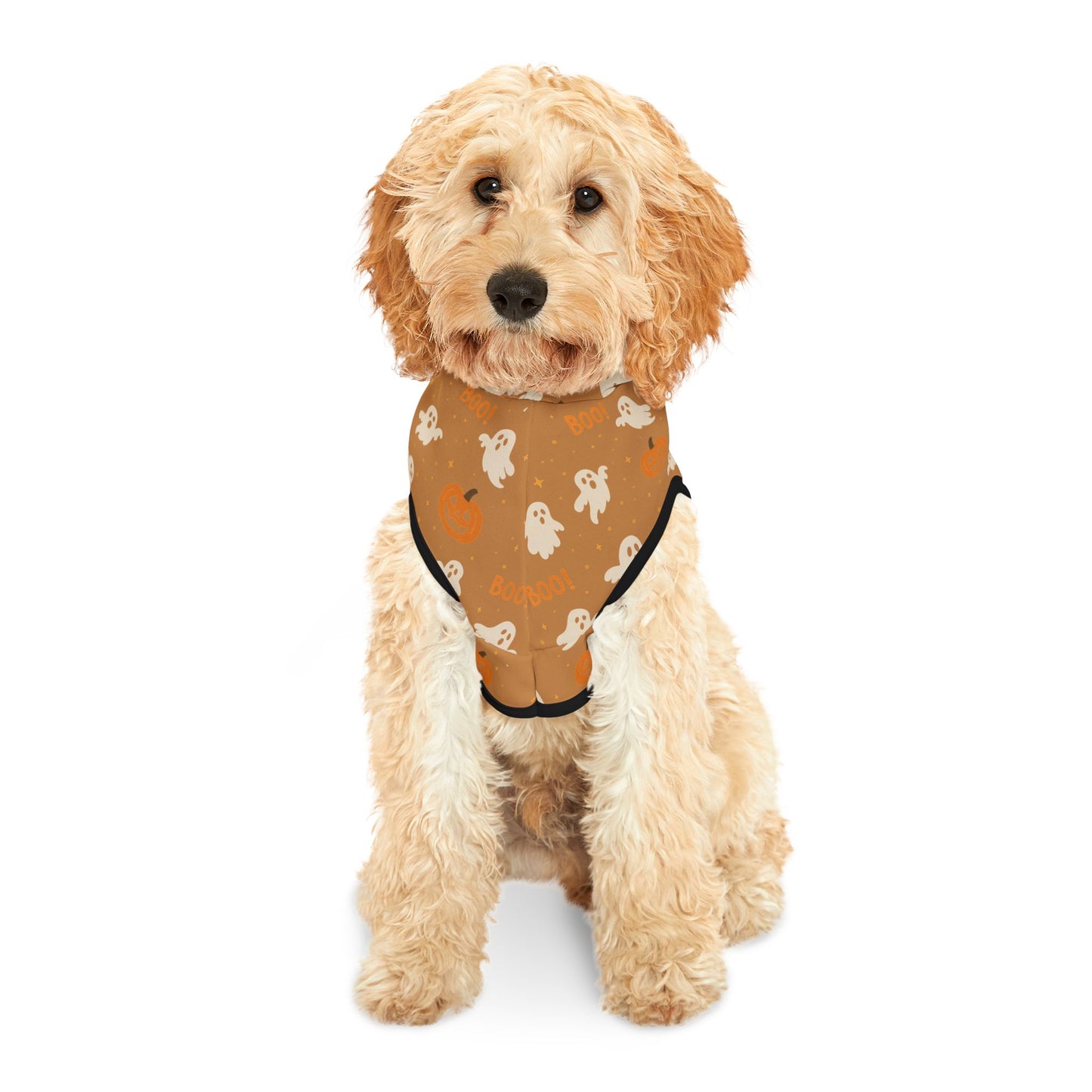 Halloween Pet Hoodie 5