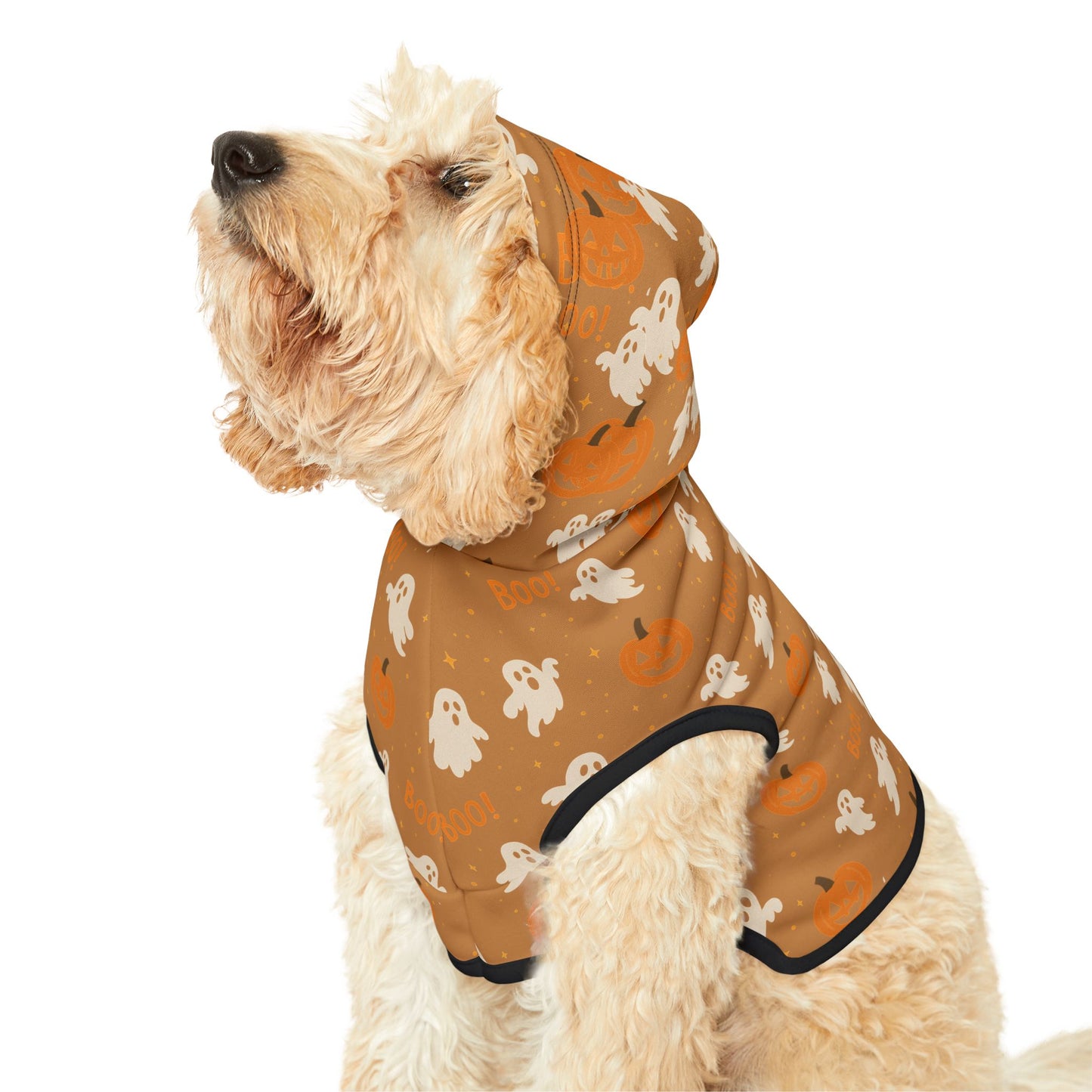 Halloween Pet Hoodie 5