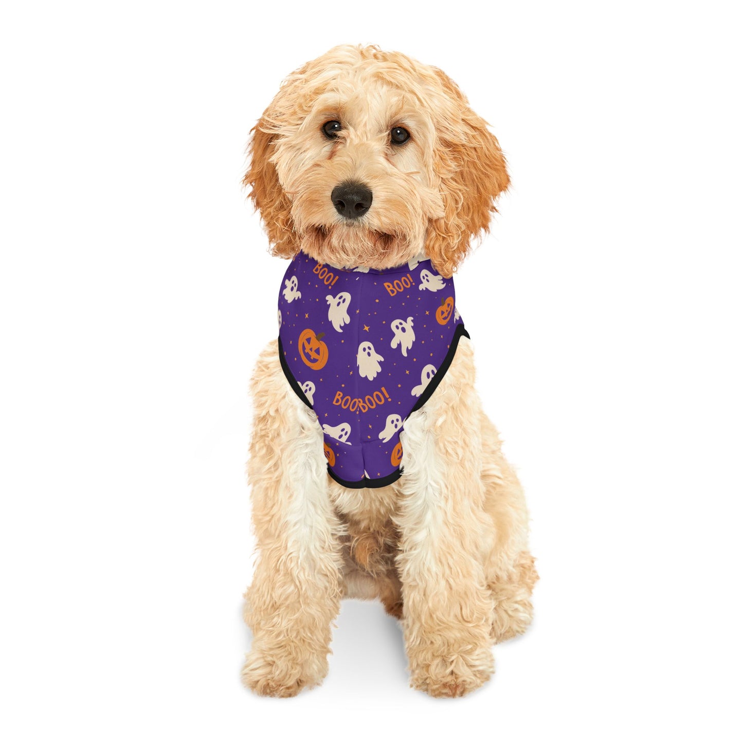 Halloween Pet Hoodie 4