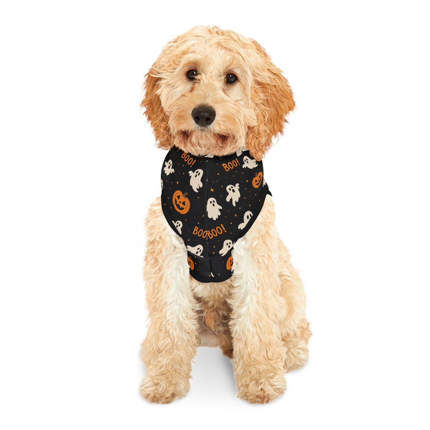 Halloween Pet Hoodie 1