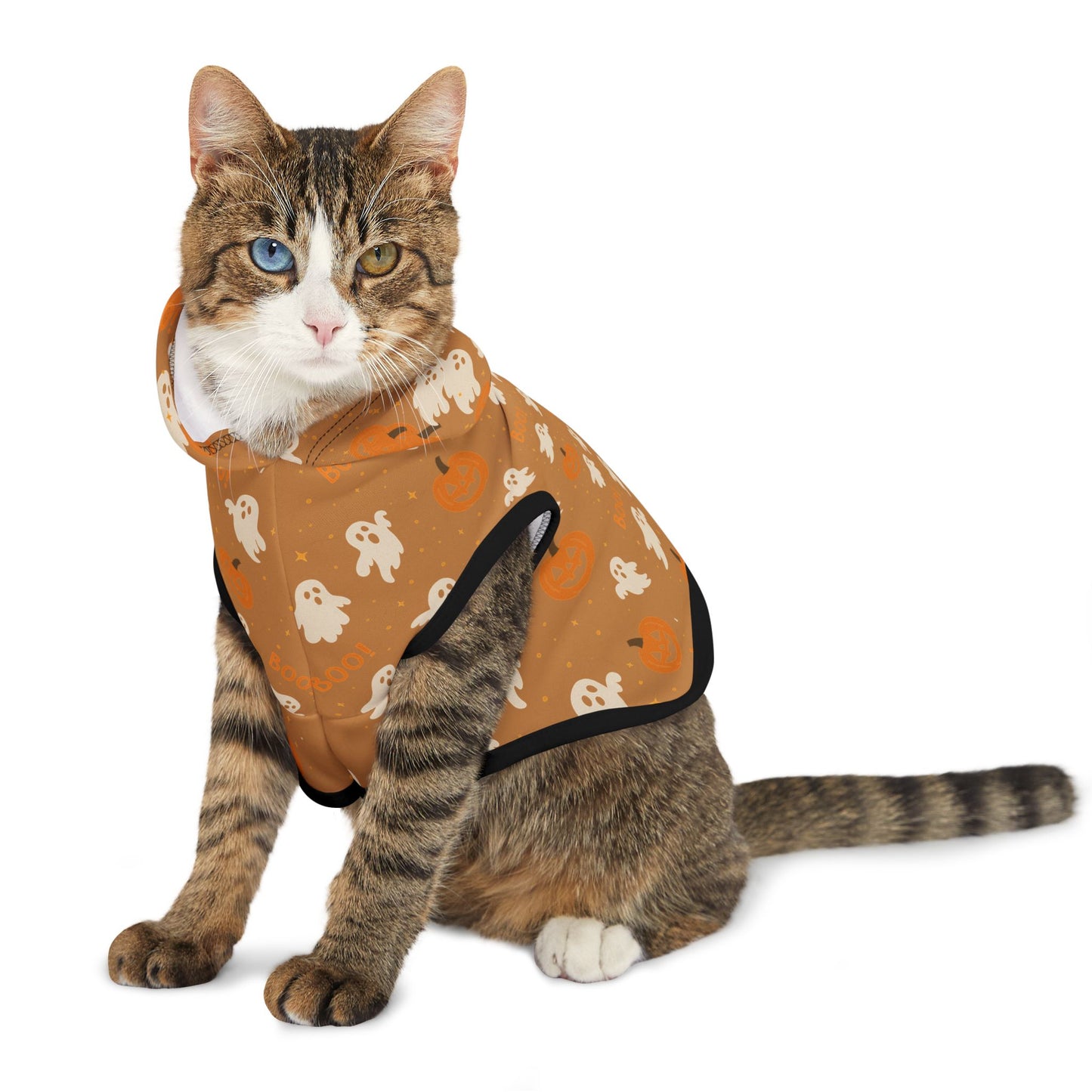 Halloween Pet Hoodie 5