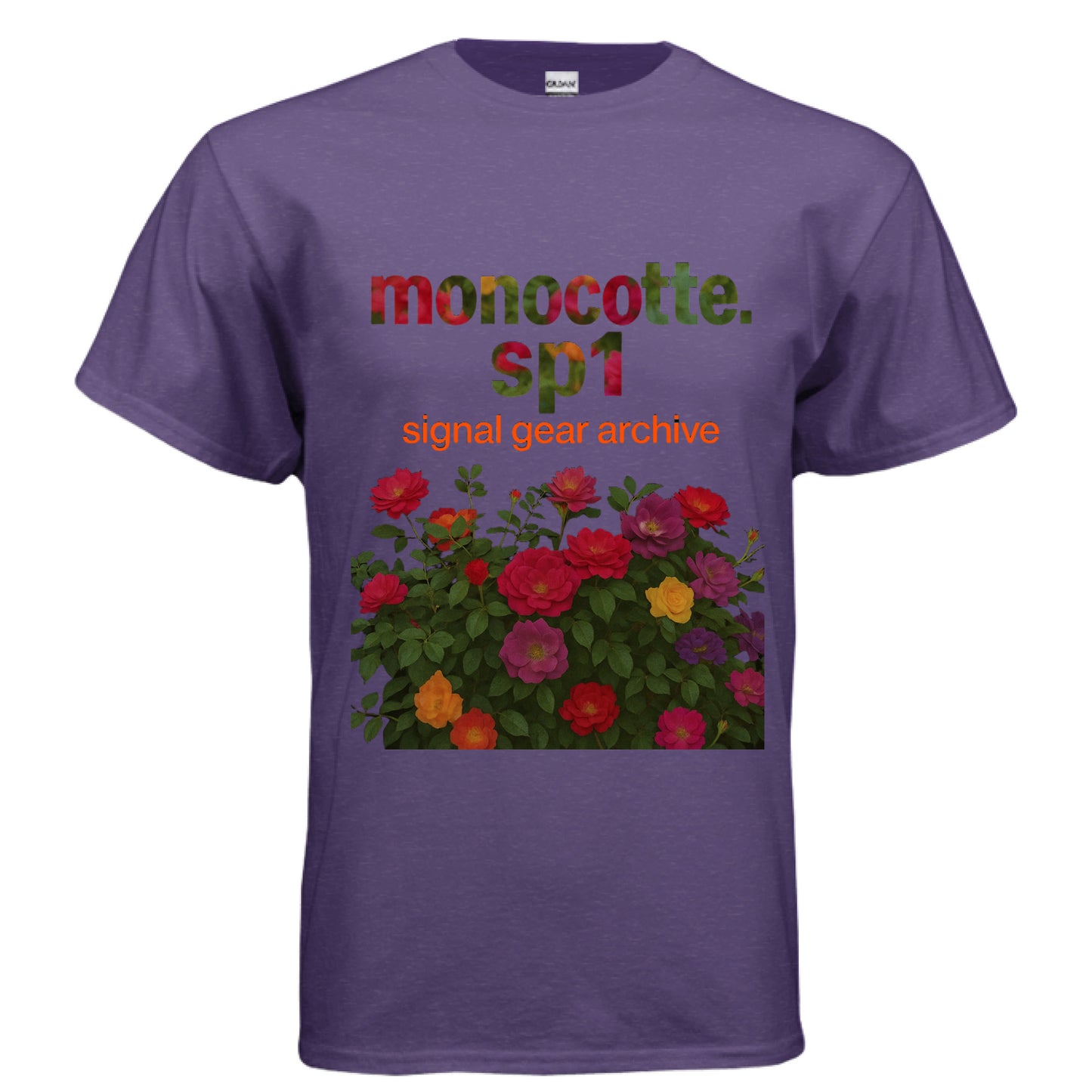 LILAC - FRONT