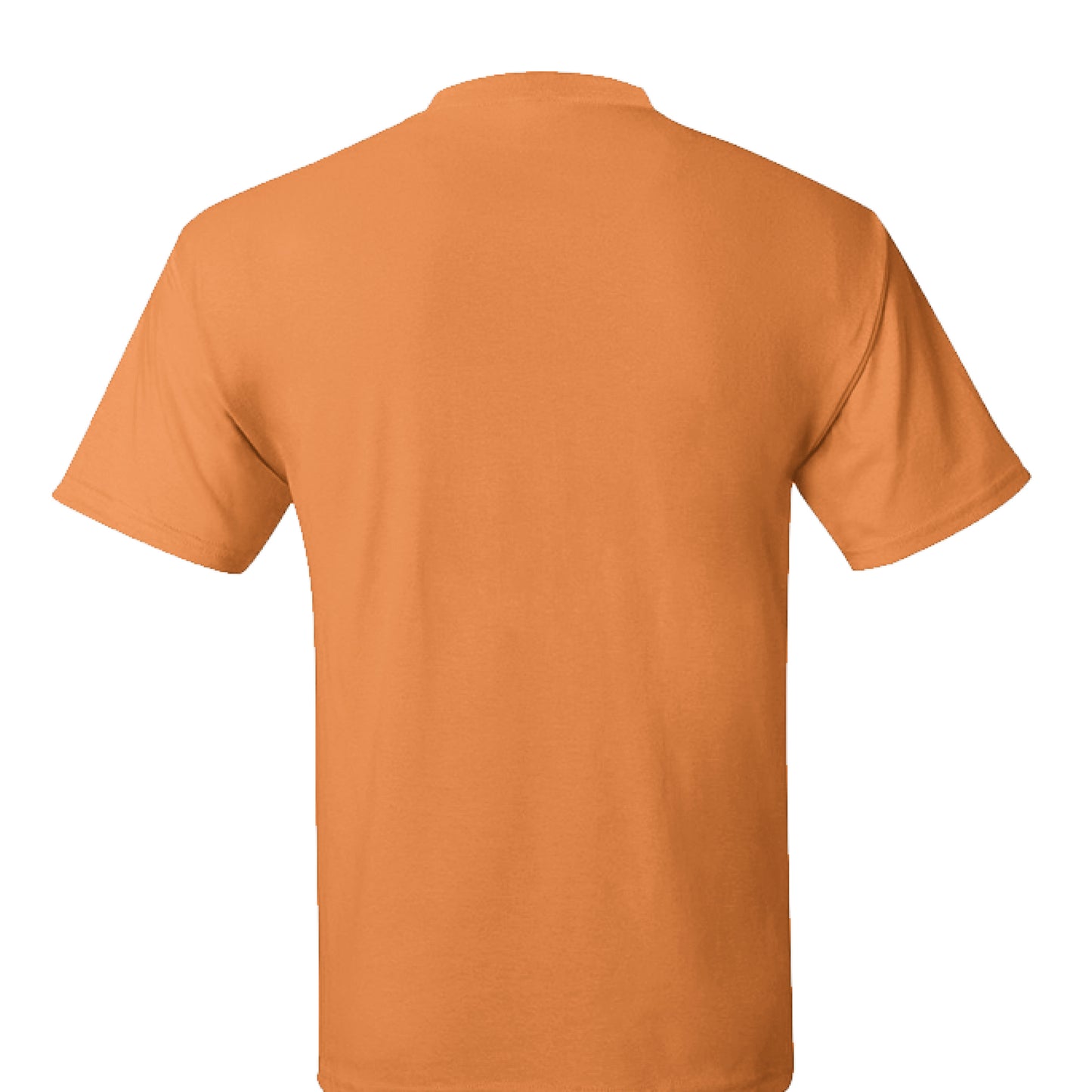 SAFETY ORANGE - BACK
