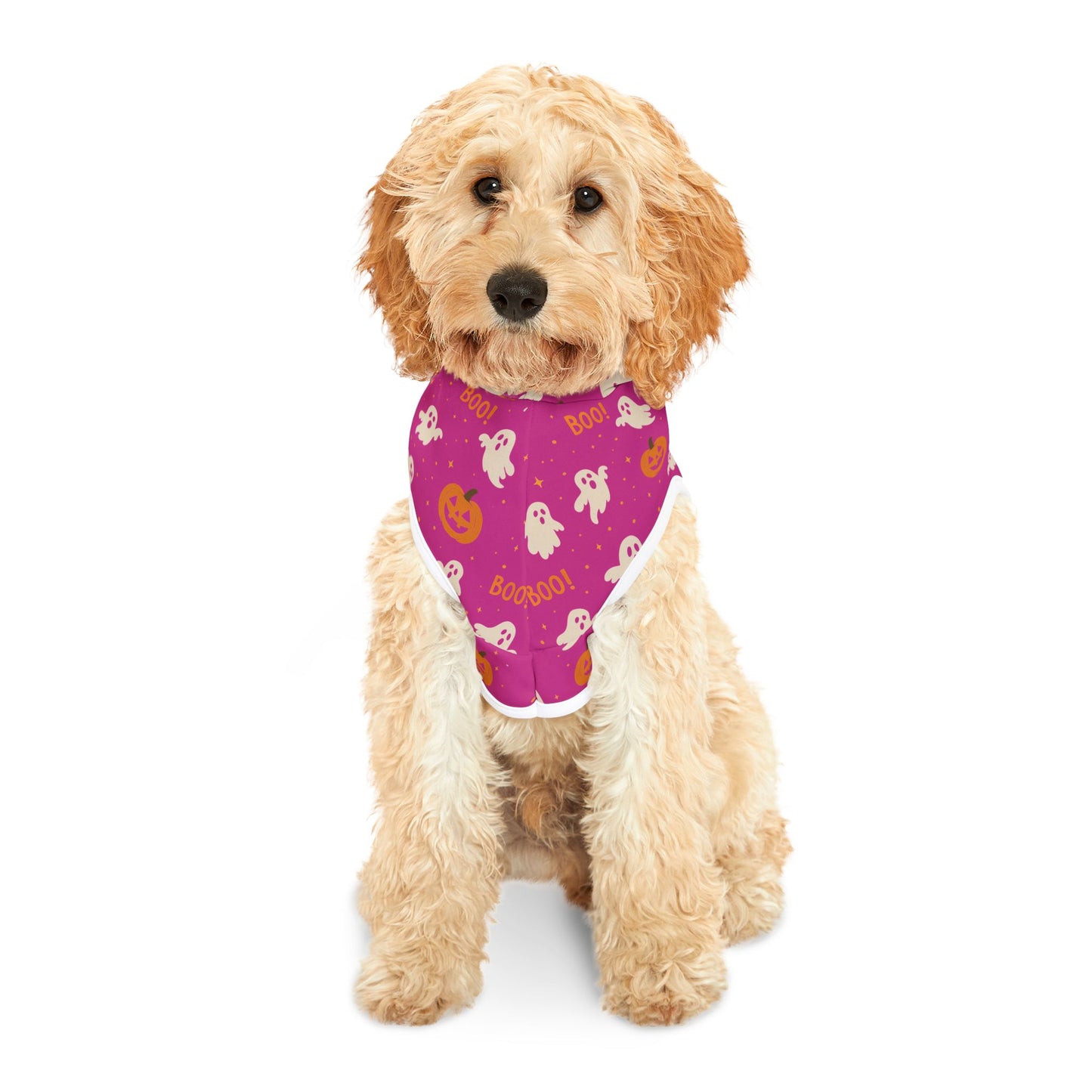 Halloween Pet Hoodie 2