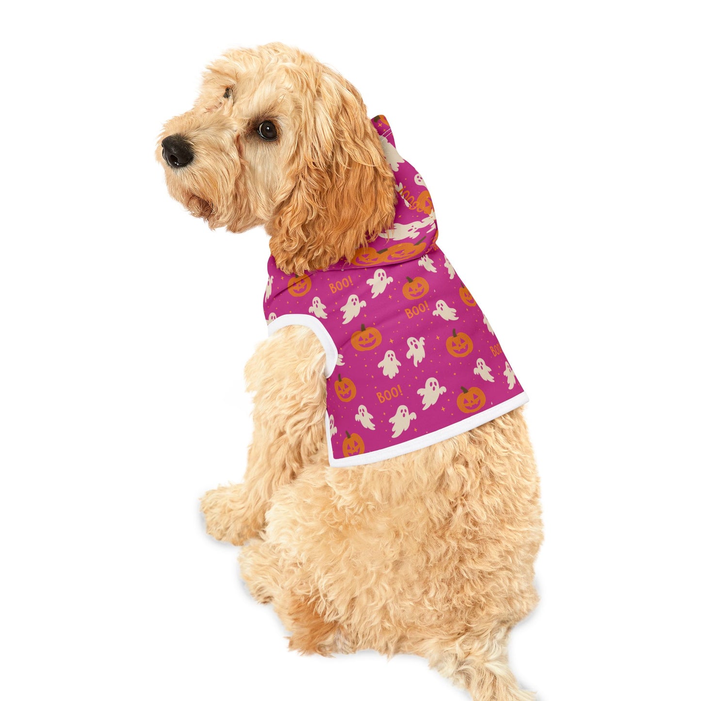 Halloween Pet Hoodie 2