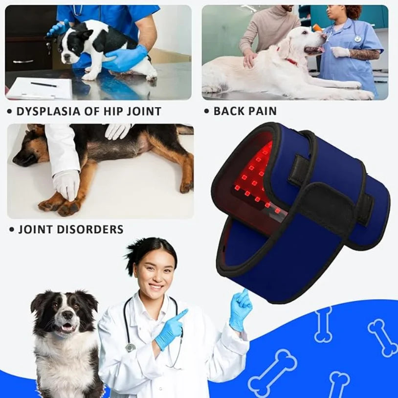 S42730e61cd2d4ddfb43300213b353152X