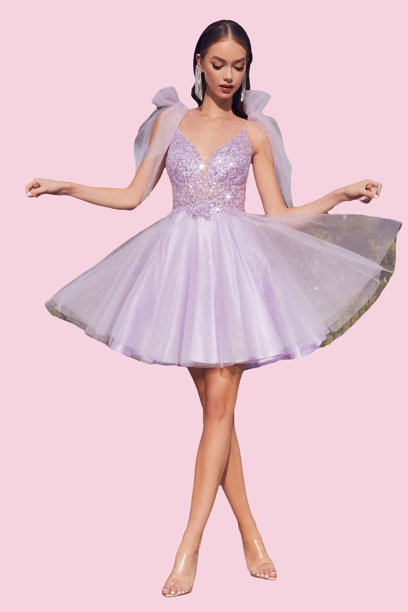 A-Line Short Tulle Dress