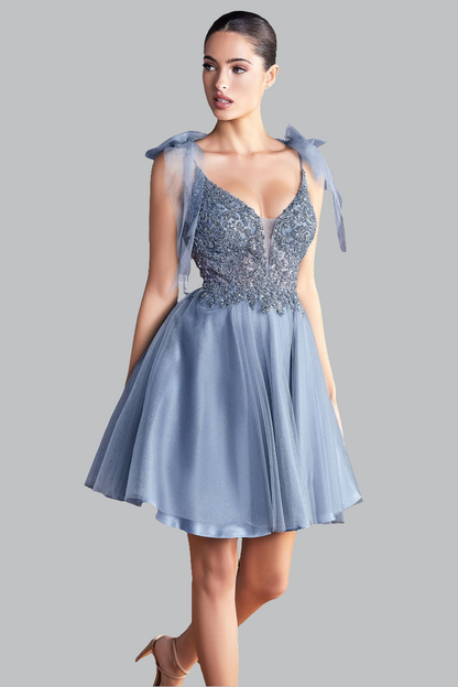A-Line Short Tulle Dress